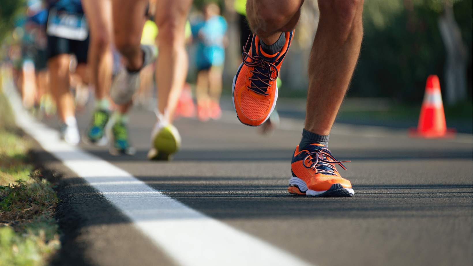 City 2 Surf Sydney